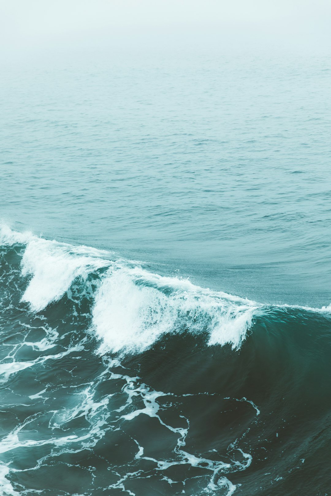 WAVE